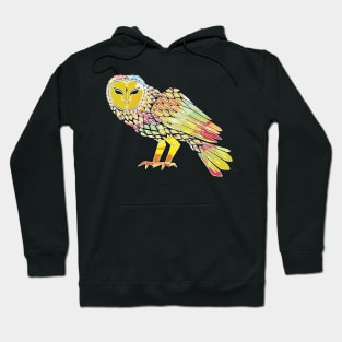 Great owl owl bird t-shirt Hoodie